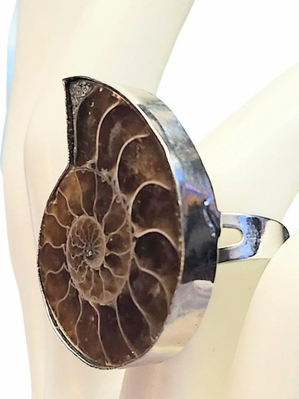 Ammonite Fossil Ring